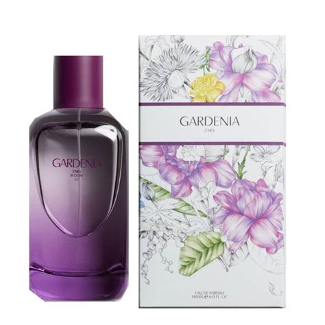 zara gardenia parfum